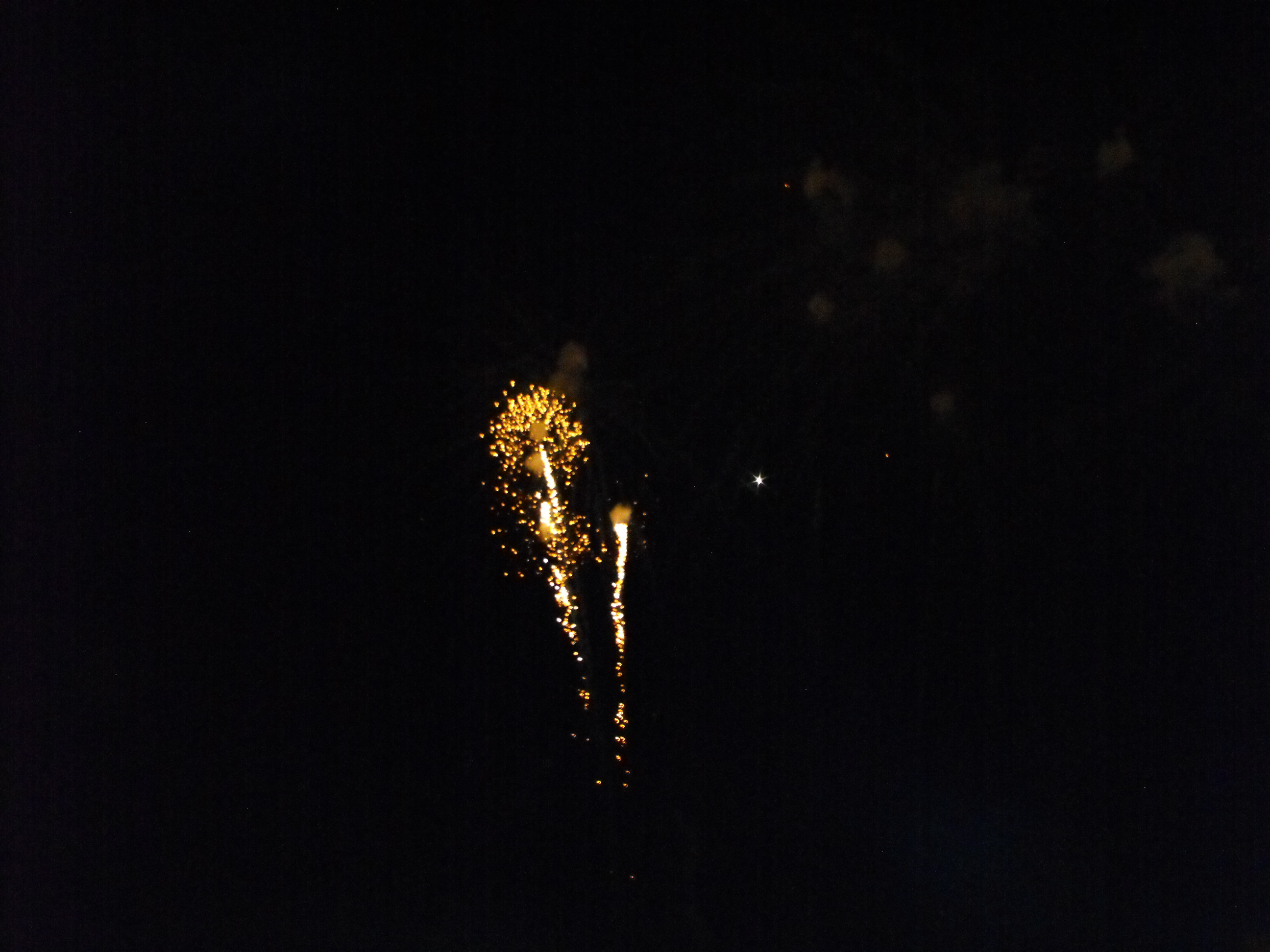 ./2010/Fourth of July/4th July Fireworks Wilm 0068.JPG